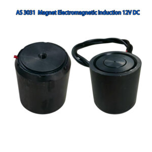 AS 3031 12V DC Electromagnetic Induction Magnet - High Reliability for Automation